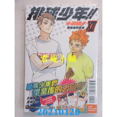 空运版  东立小说  排球少年!!小说版!! XII 毕业后的景色(全新)