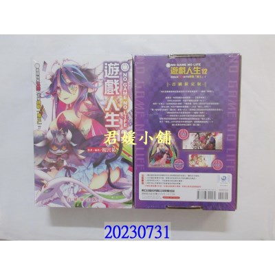 空运版  东立小说  NO GAME NO LIFE 游戏人生 12(首刷限定版)  作者： 槚宫佑(全新) 