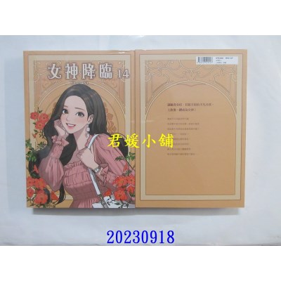 空运版  角川  女神降临 (14)  作者： Yaongyi(全新)