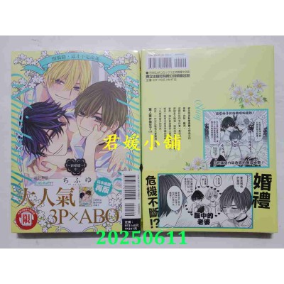 空运版  东立  别搞错，这才不是命运~新婚篇~ 中  作者： ちふゆ(全新)